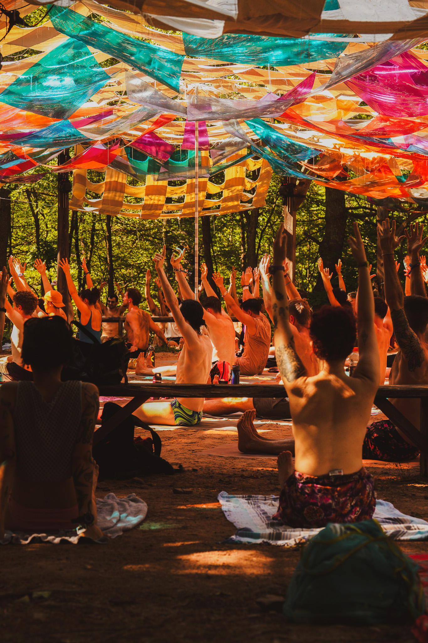 Arms raised in a yoga class under the canopy