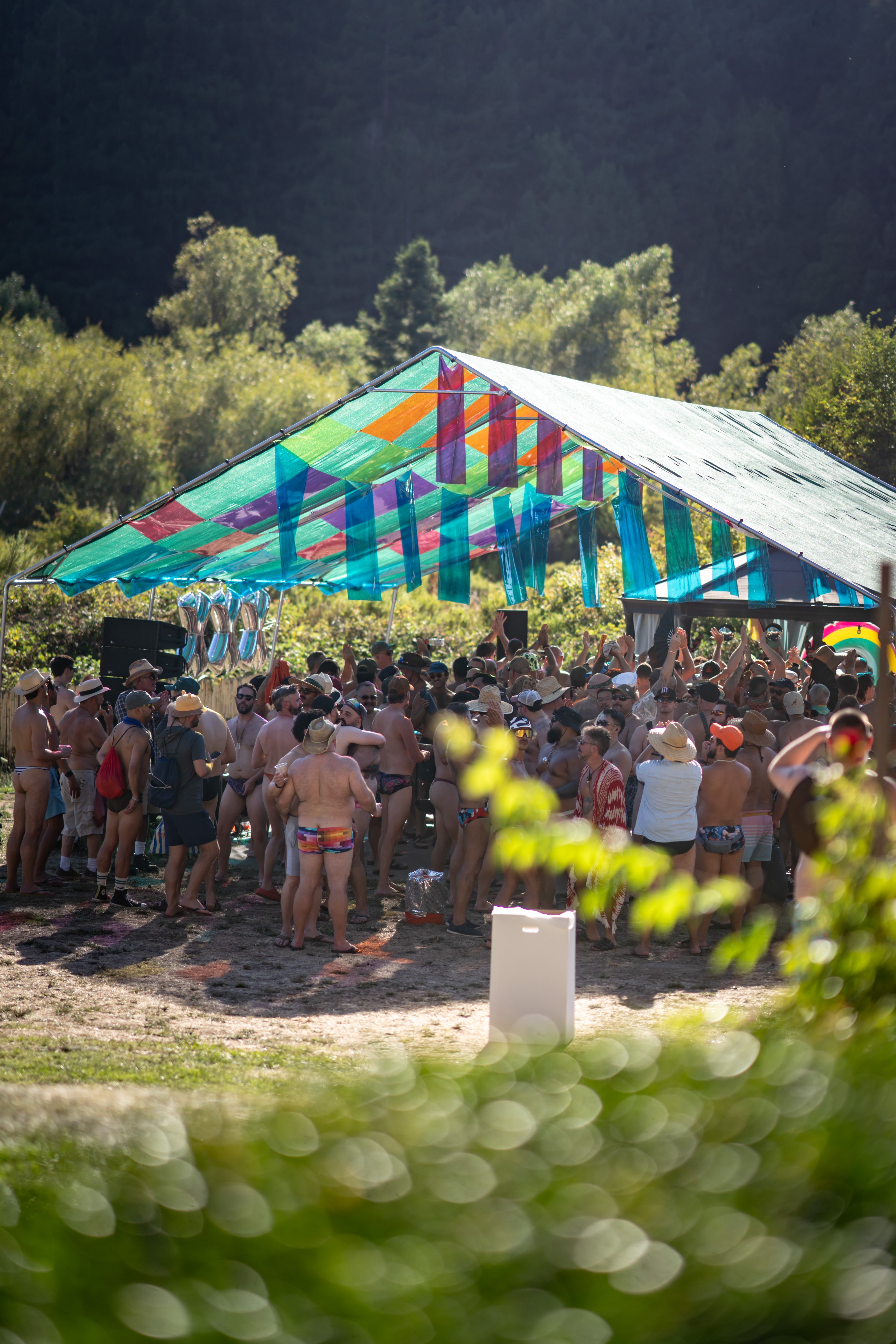 The pool party seen from the hillside through foliage