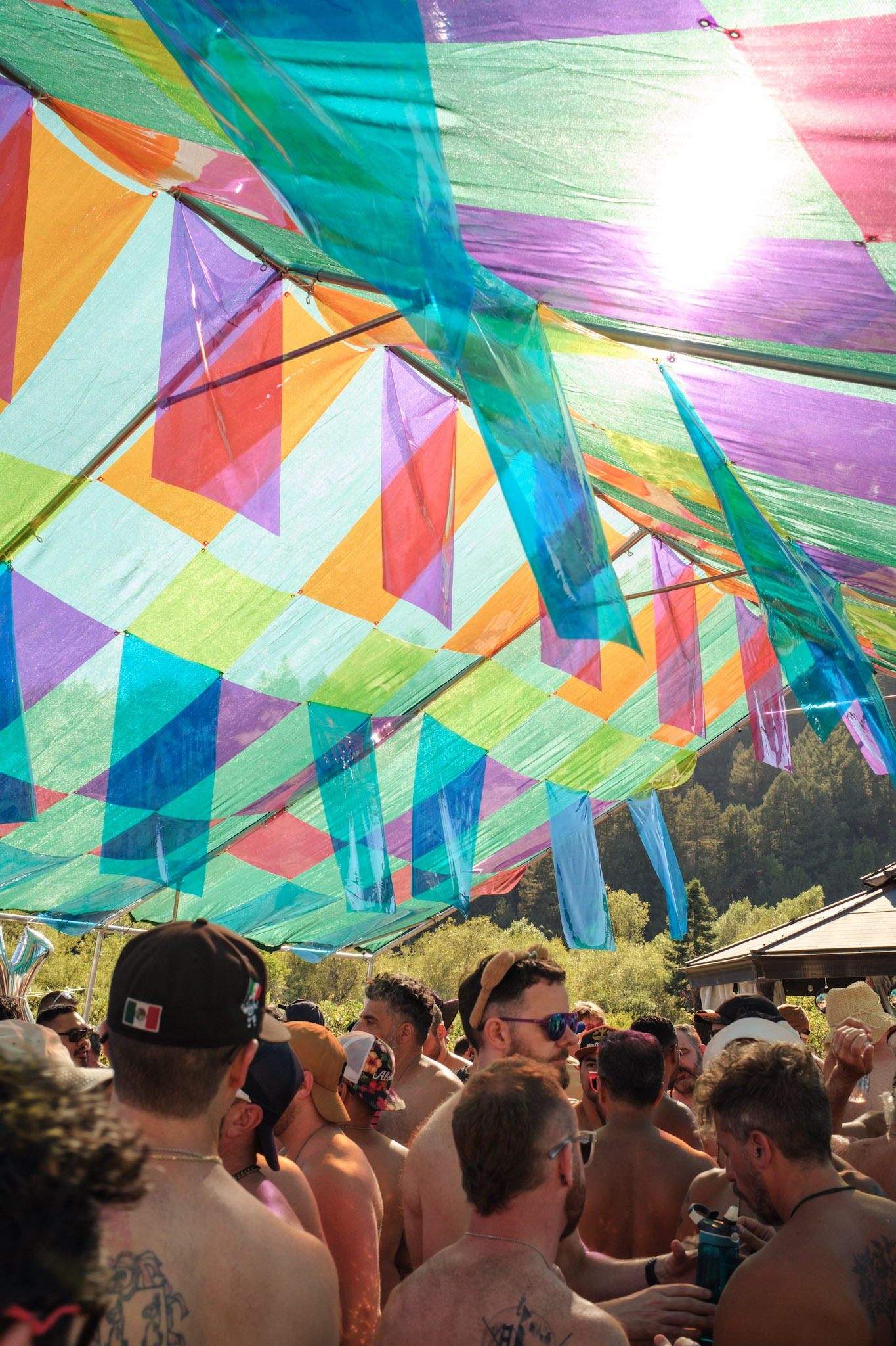 Looking up into the plaid canopy with sun burning through the panels