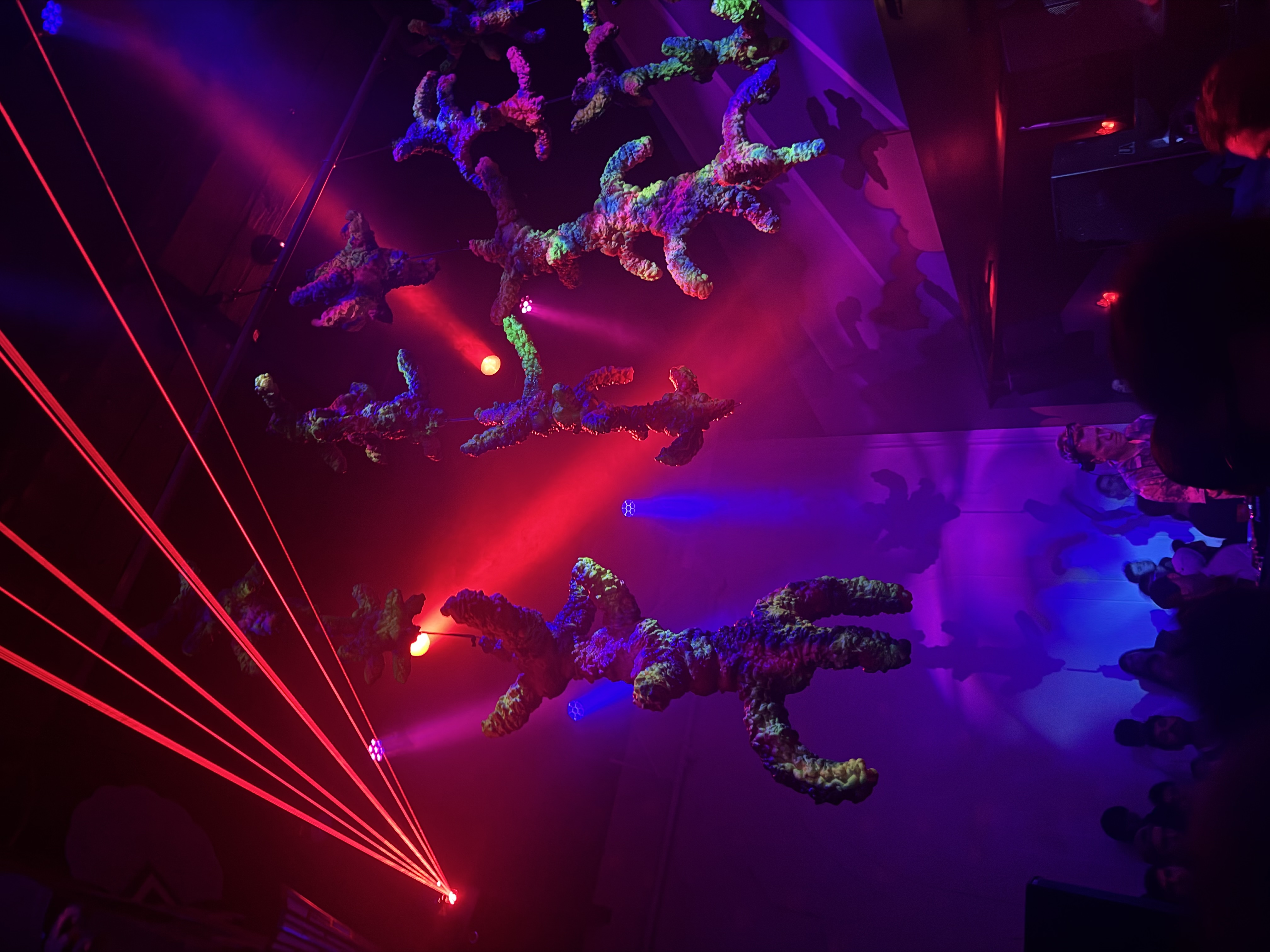 Close view of the glowing hanging forms